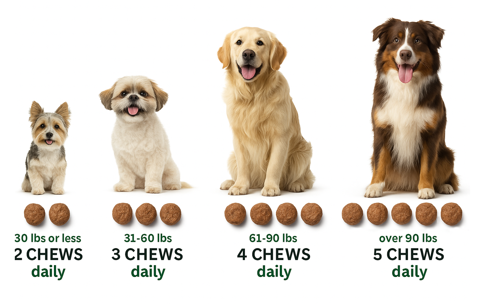 2 Pack Probiotics for Dogs – Digestive Enzyme Chews, 2 × 170 Soft Chews (Bacon Flavor)