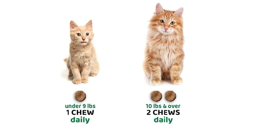 Flea & Tick Defense for Cats