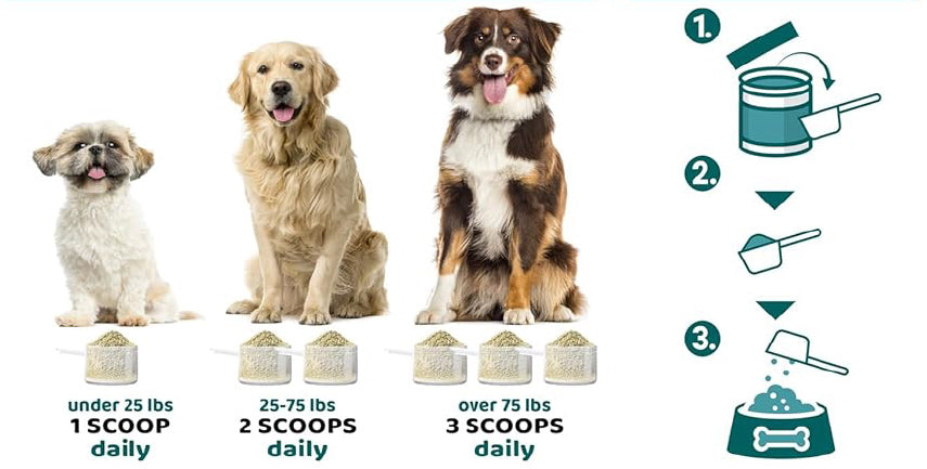 Dog Dental Powder – Fresh Breath & Oral Care (60 Scoops)