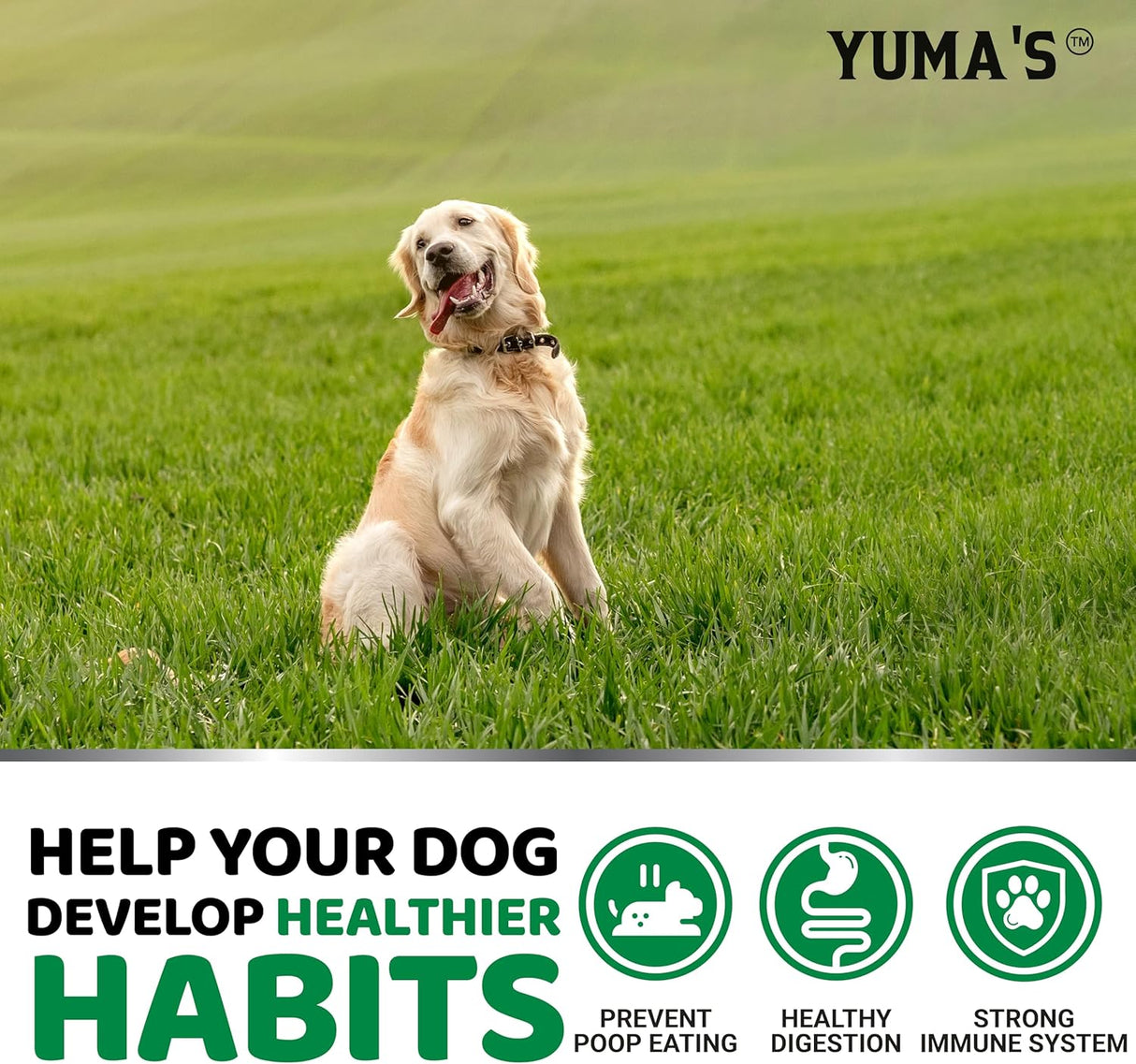 No Poo Chews – Behavior Support & Digestive Enzymes (170 Soft Chews) - YUMA'S