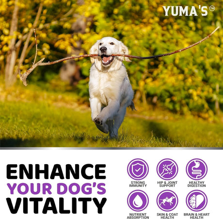 (2 Pack) Dog Multivitamin – 170 Chews Each (Chicken Flavor) - YUMA'S