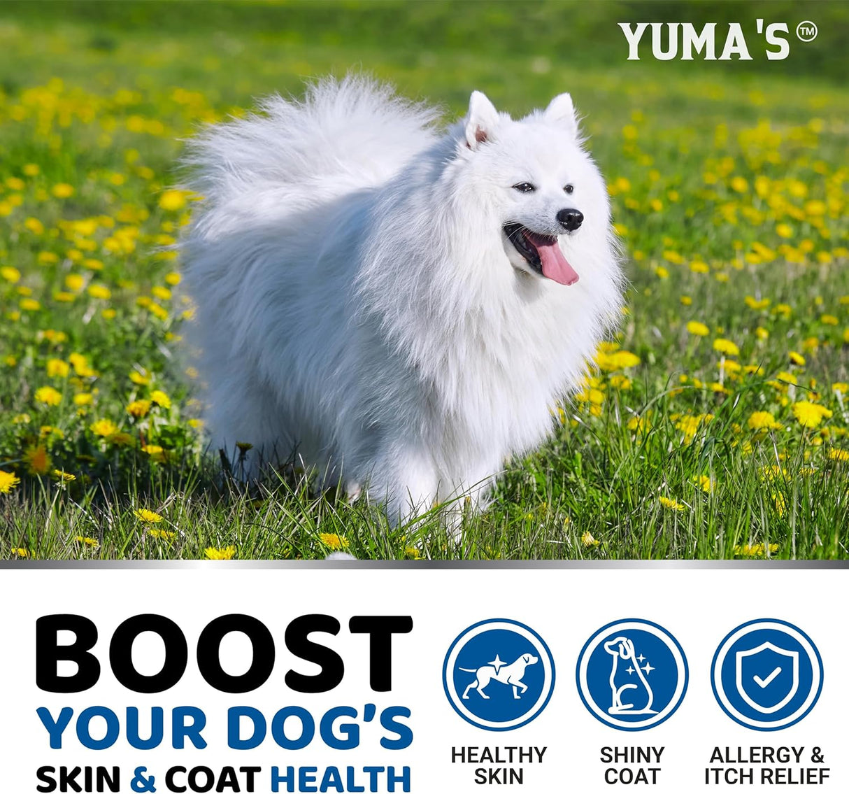 Omega-3 Fish Oil Chews for Dogs - YUMA'S