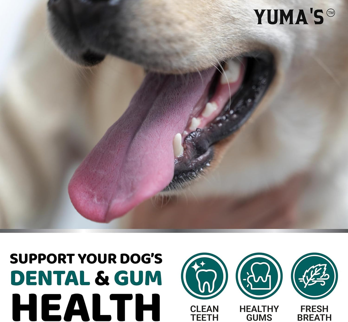 Dog Dental Powder – Fresh Breath & Oral Care (60 Scoops) - YUMA'S