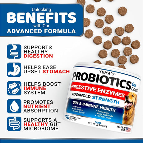 2 Pack Probiotics for Dogs – Digestive Enzyme Chews, 2 × 170 Soft Chews (Bacon Flavor) - YUMA'S