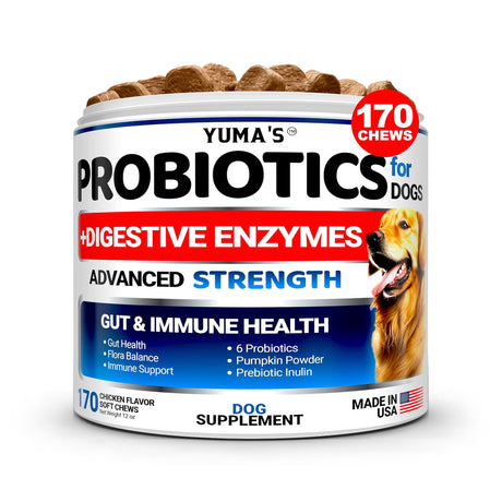 Probiotics for Dogs – 170 Easy-to-Chew Bites (Bacon Flavor) - YUMA'S