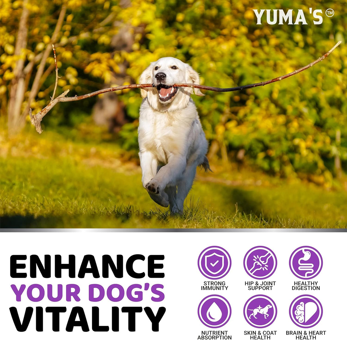 Dog Daily Multivitamin Chews - 170 count - YUMA'S