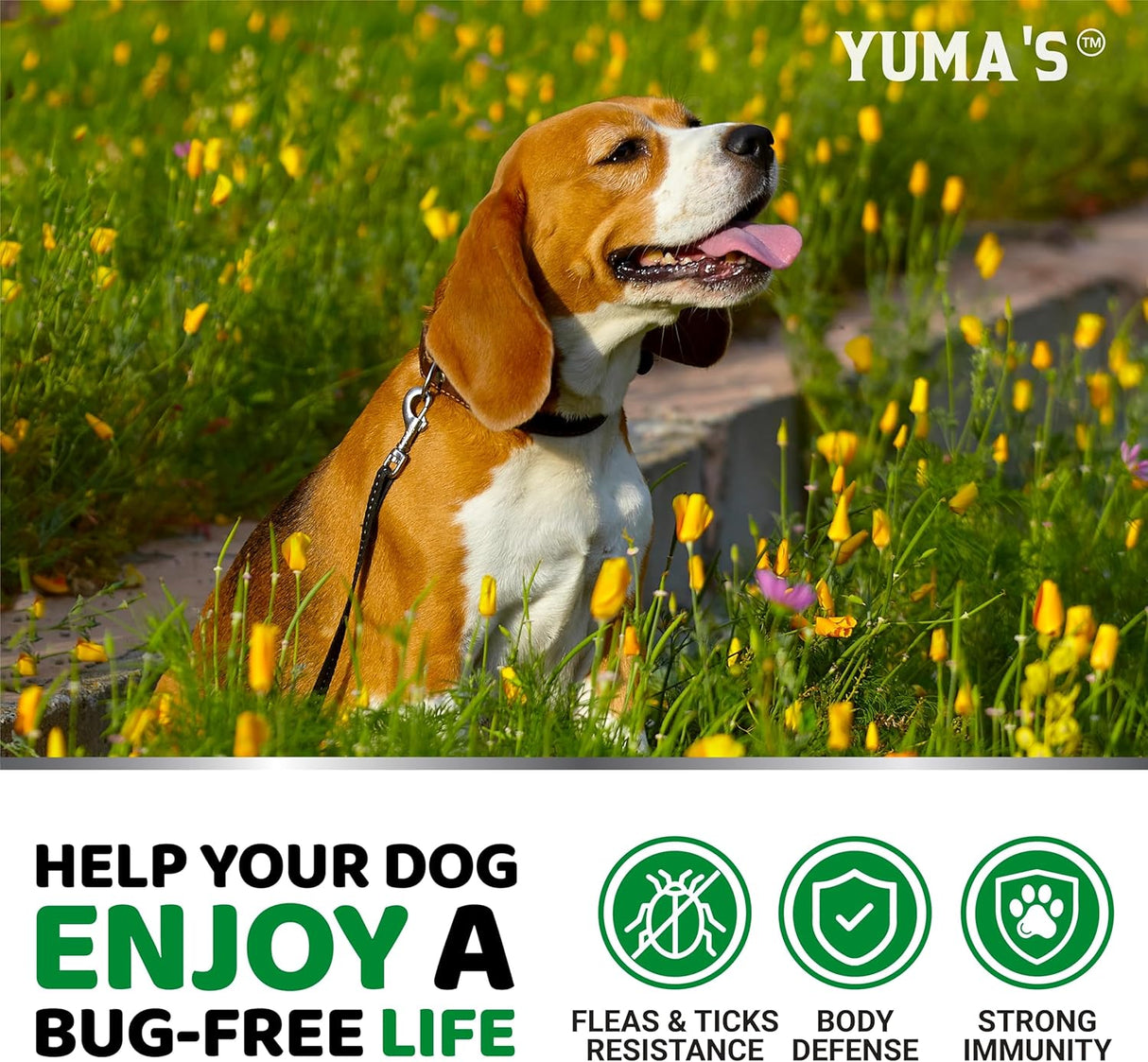 Flea & Tick Defense for Dogs – 170 Chewables - YUMA'S