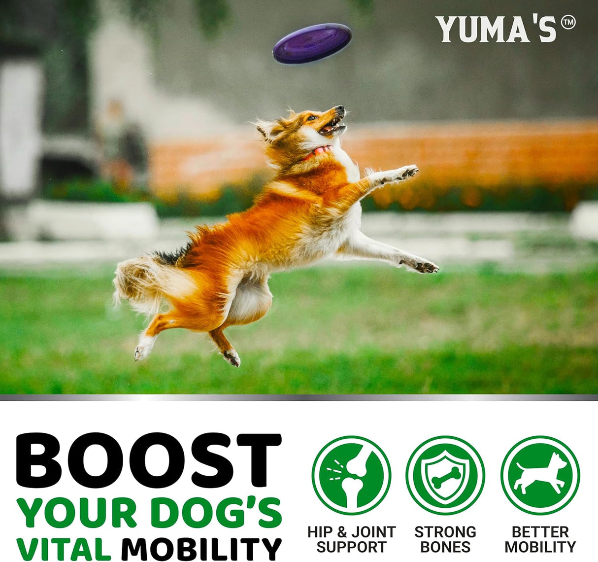 Glucosamine for Dogs - 170 Chews - YUMA'S