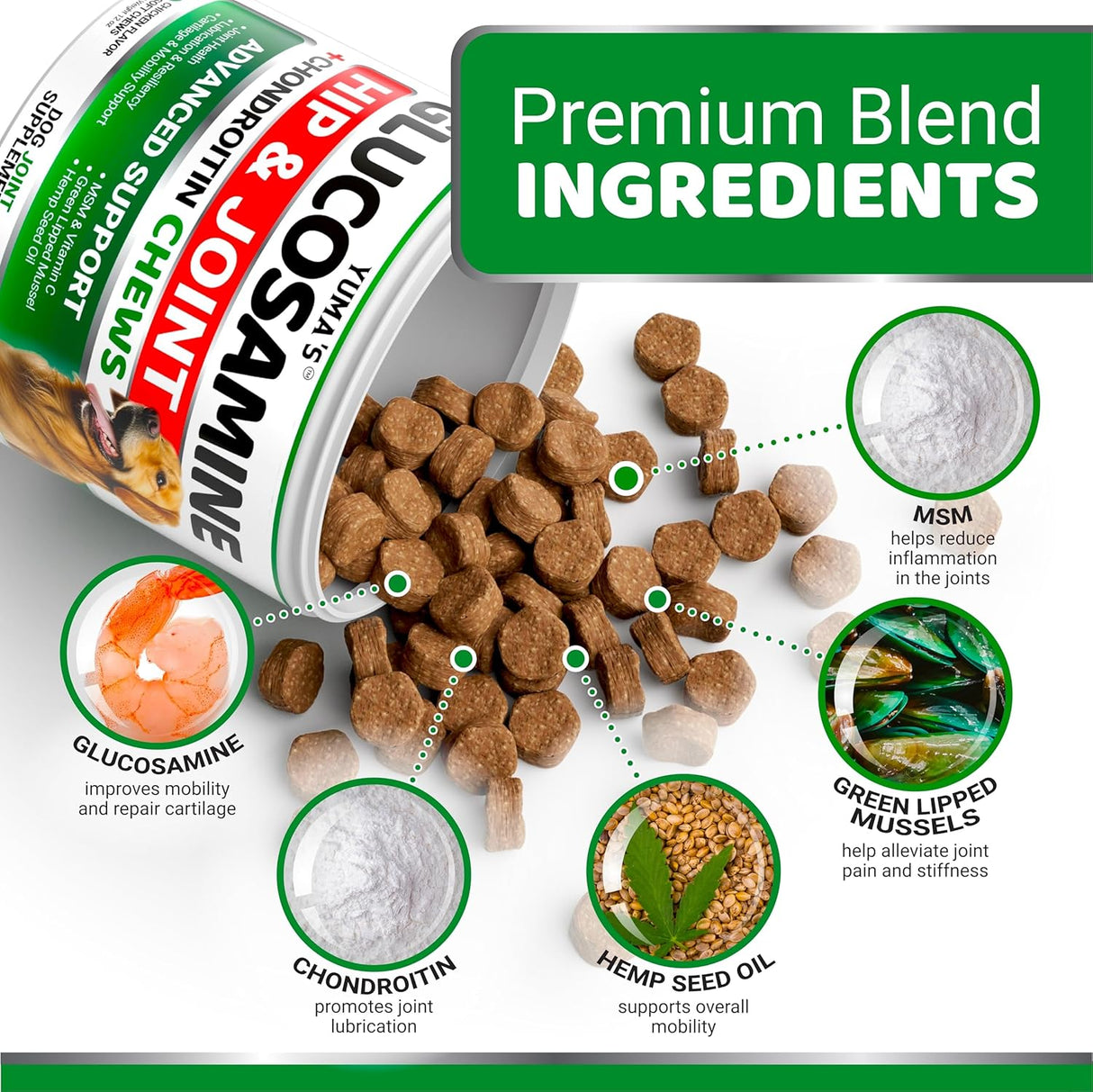 Glucosamine for Dogs - 170 Chews - YUMA'S