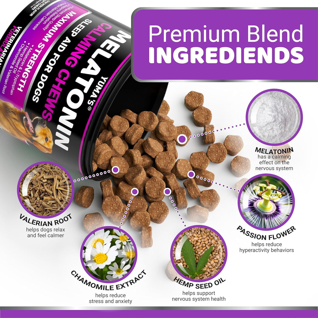 Melatonin for Dogs - YUMA'S