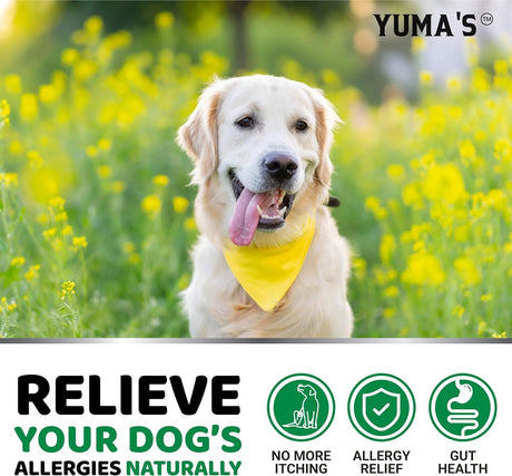 (2 Pack) Dog Allergy Chews — 340 Soft Chews - YUMA'S