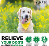 Dog Allergy & Itch Support Chews - 170 count - YUMA'S
