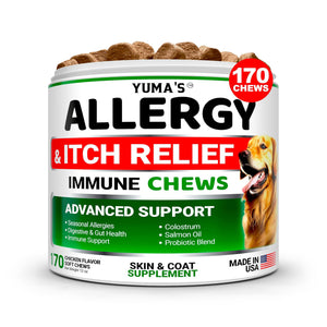 Dog Allergy Support Chews - 170