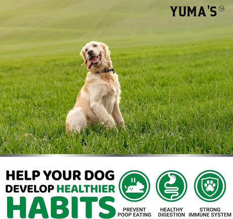 No Poo Chews – Behavior Support & Digestive Enzymes (170 Soft Chews) - YUMA'S