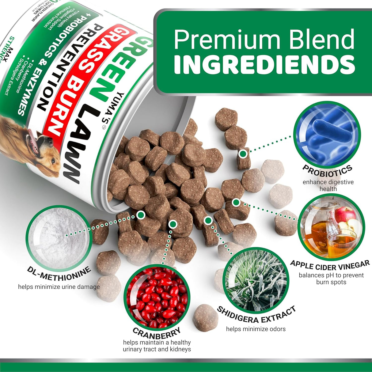 Lawn Harmony - YUMA'S