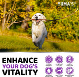 (2 Pack) Dog Multivitamin – 170 Chews Each (Chicken Flavor) - YUMA'S
