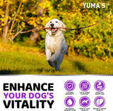 Dog Daily Multivitamin Chews –  240 Count - YUMA'S