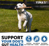 2 Pack Probiotics for Dogs – Digestive Enzyme Chews, 2 × 170 Soft Chews (Bacon Flavor) - YUMA'S