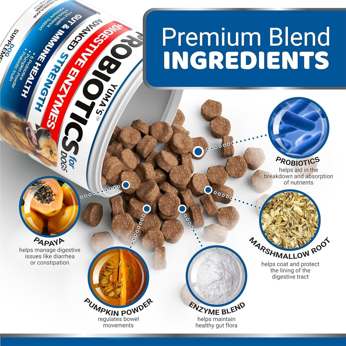 2 Pack Probiotics for Dogs – Digestive Enzyme Chews, 2 × 170 Soft Chews (Bacon Flavor) - YUMA'S