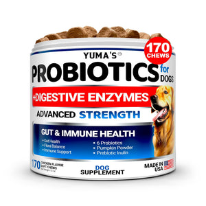 Probiotics for Dogs