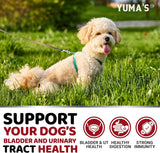 Dog Bladder & Urinary Balance Chews - YUMA'S