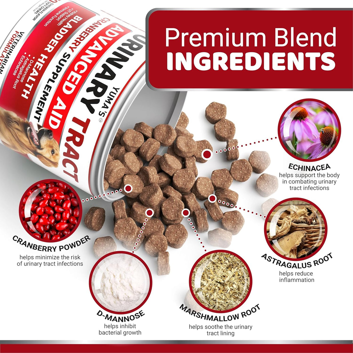 Dog Bladder & Urinary Balance Chews - YUMA'S