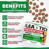 (2 Pack) Flea & Tick Defense - YUMA'S