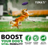 (2 Pack) Glucosamine for Dogs - YUMA'S
