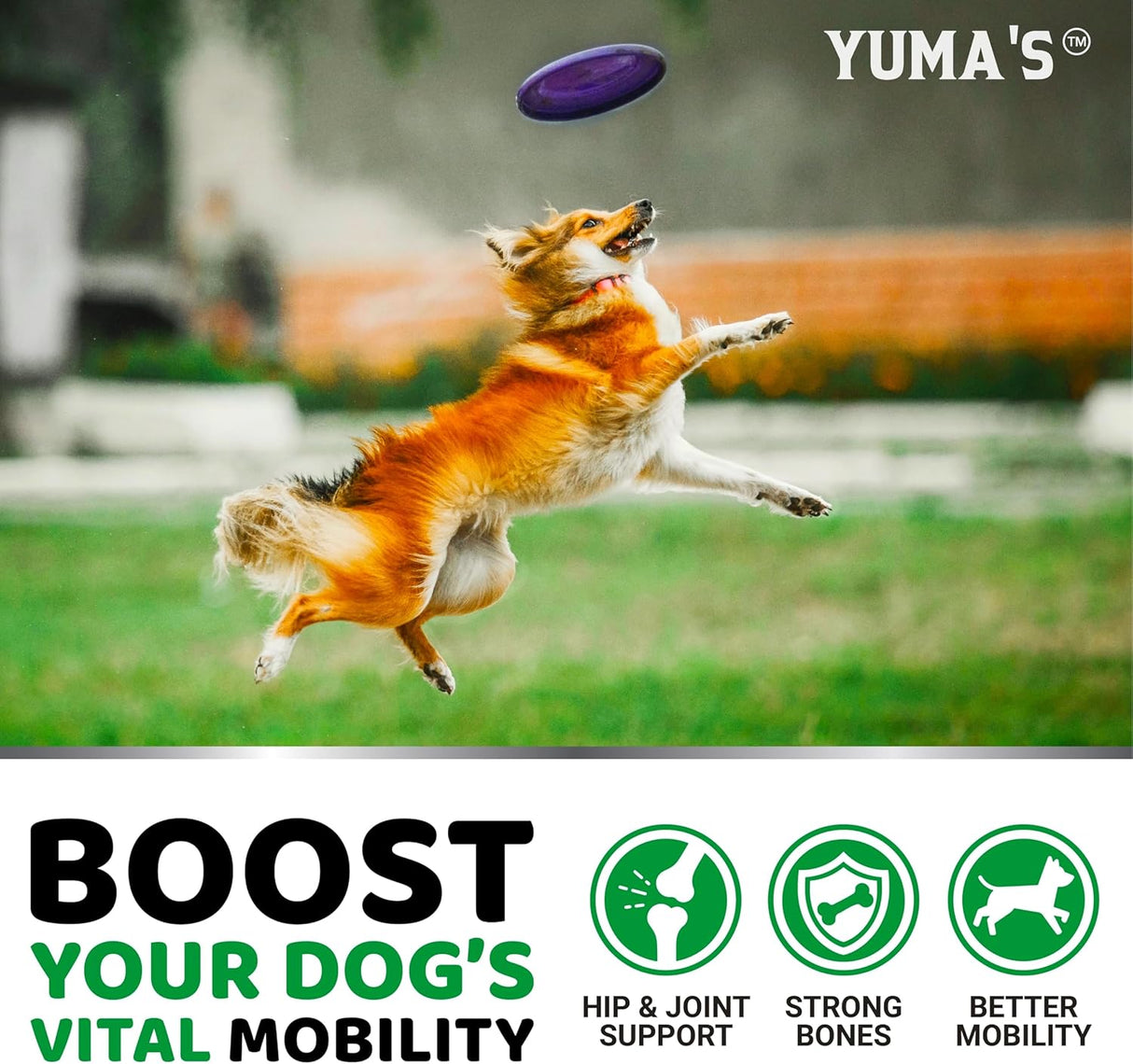 Glucosamine for Dogs - 240 Chews - YUMA'S