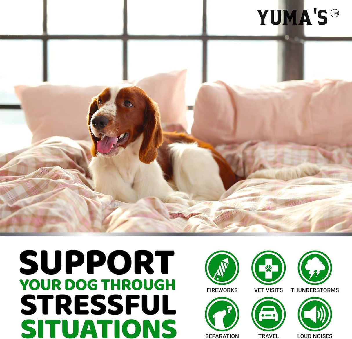 (2 Pack) Hemp Calming Chews for Dogs – 340 Chews - YUMA'S