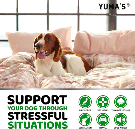 Hemp Calming Chews for Dogs - YUMA'S