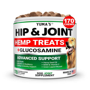 Hemp Hip & Joint Support with Glucosamine for Dogs - 170